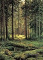 Nadelwald Sonnentag 1895 klassische Landschaft Ivan Ivanovich